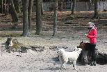 Aimy von der Alsterperle
