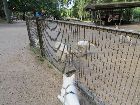 Ausflug im Tierpark Lüneburger Heide