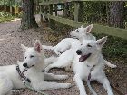 Ausflug im Tierpark Lüneburger Heide