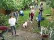 D-Wurf 52.Tag, am 29.09.2015