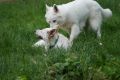 Avalon und Orelie