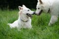 Avalon und Orelie